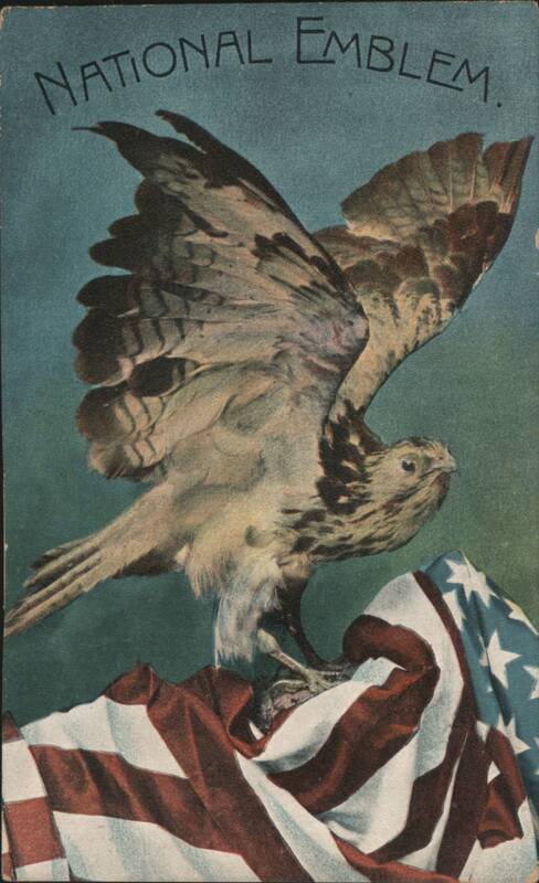 National Emblem Eagle on American Flag Patriotic