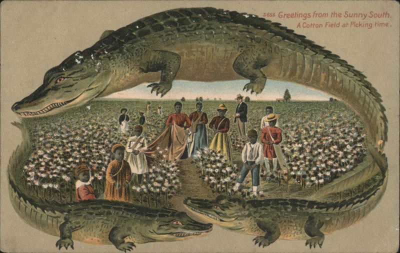 Alligator Border S655 Cotton Field, African American Pickers, Sunny South Wadsworth Ohio