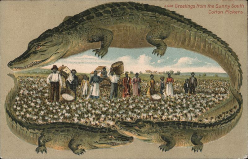 Alligator Border S658 Greetings from the Sunny South, Cotton Pickers