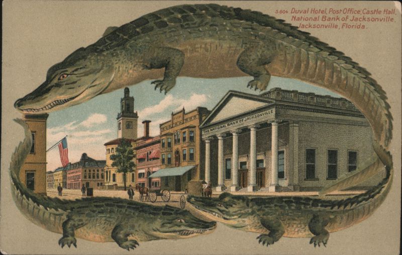 Alligator Border S604 Duval Hotel, Post Office, Castle Hall, National Bank of Jacksonville Florida