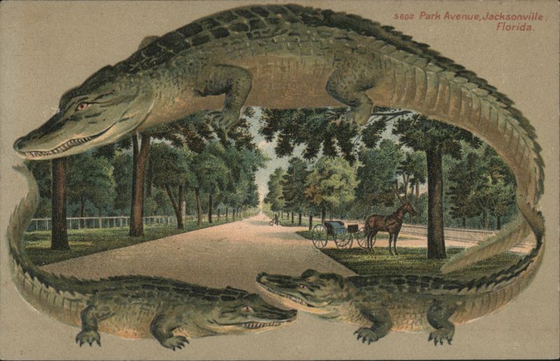 Alligator Border S602 Park Avenue, Jacksonville, Florida