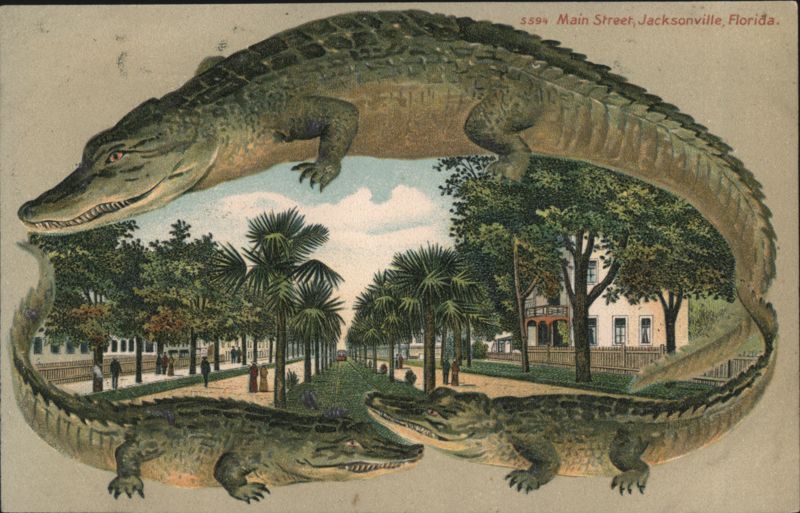 Alligator Border S594 Main Street, Jacksonville, Florida
