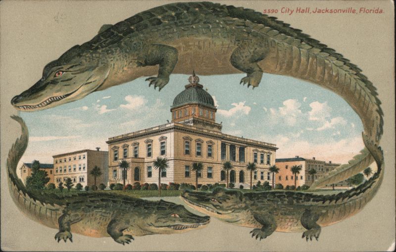 Alligator Border S590 City Hall, Jacksonville, Florida