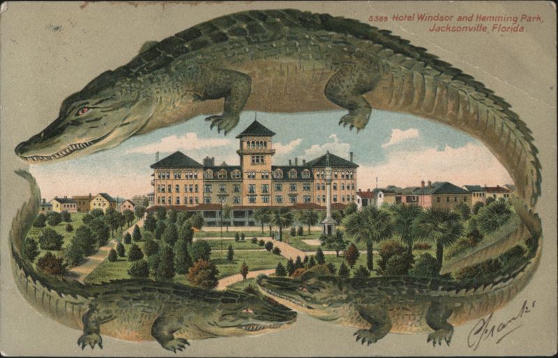 Alligator Border S589 Hotel Windsor and Hemming Park, Jacksonville, Florida