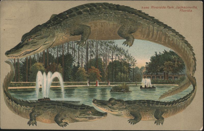 Alligator Border S586 Riverside Park Jacksonville Florida Fountain Scene