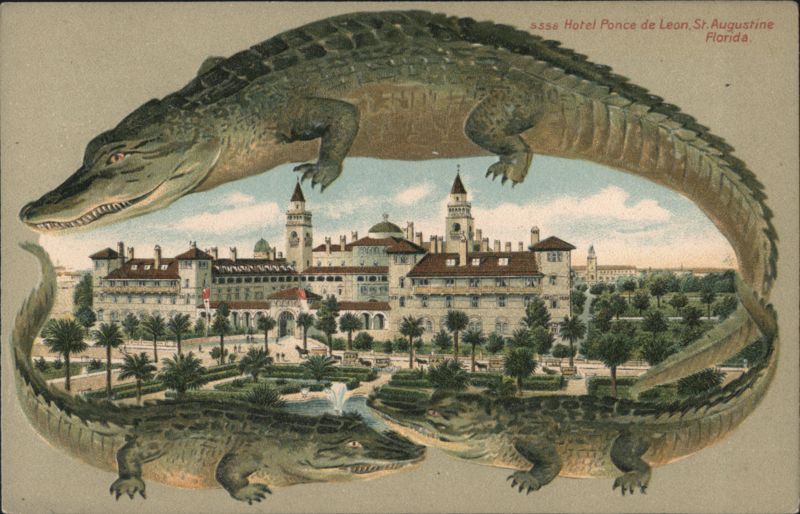 Alligator Border S558 Hotel Ponce de Leon, St. Augustine, Florida