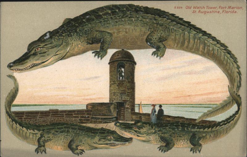 Alligator Border S554 Old Watch Tower, Fort Marion, St. Augustine, Florida