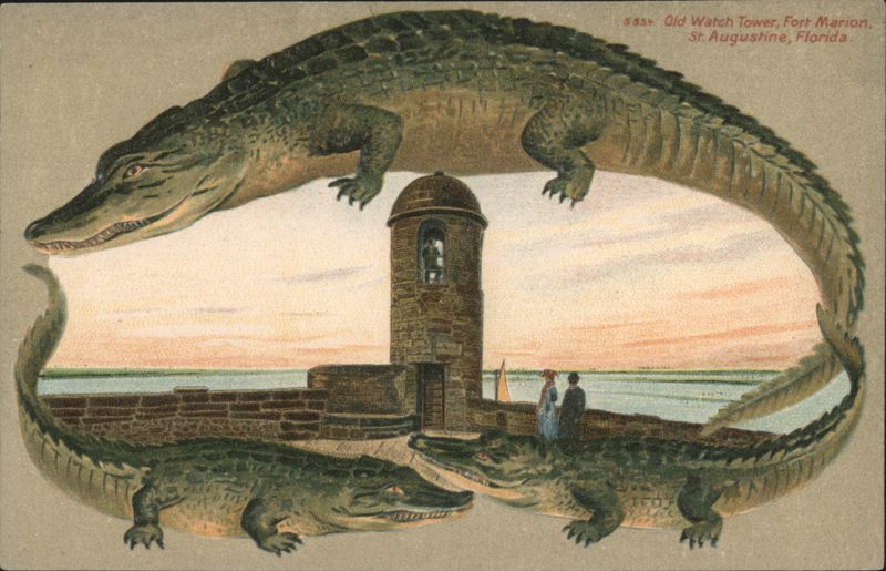 Alligator Border S554 Old Watch Tower, Fort Marion, St. Augustine, FL Florida