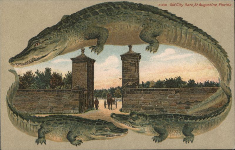 Alligator Border S648 Old City Gate, St. Augustine, Florida