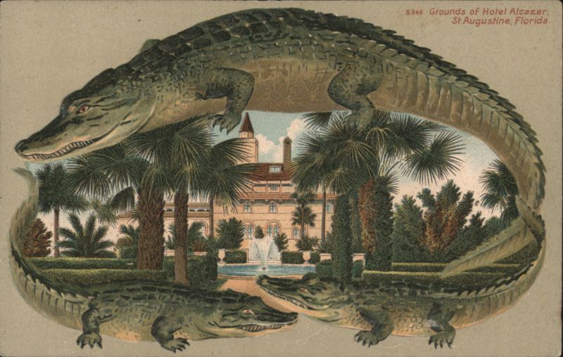 Alligator Border S542 Grounds of Hotel Alcazar, St. Augustine, Florida