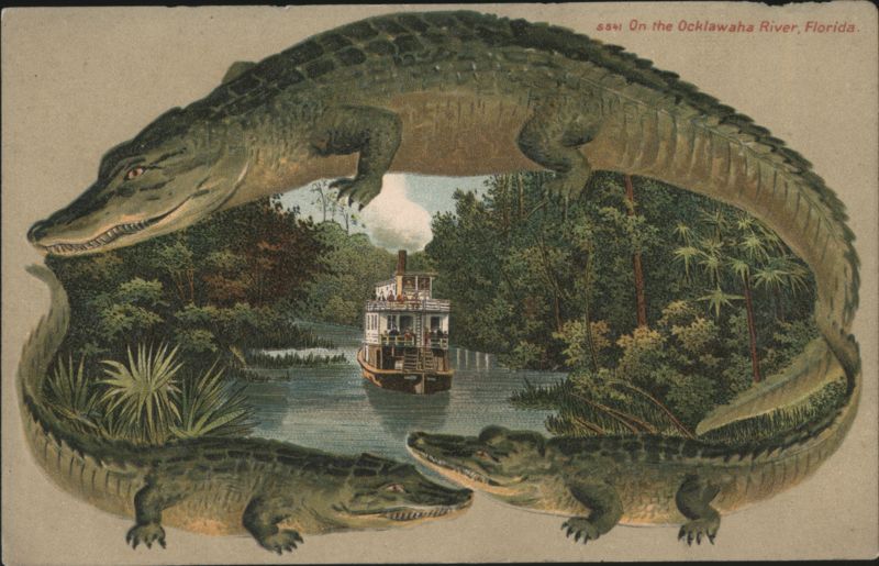 Alligator Border S641 Steamboat on the Ocklawaha River, Florida