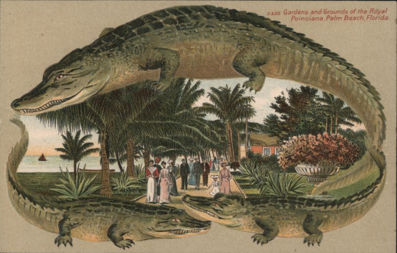 Alligator Border S530 Royal Poinciana Gardens, Palm Beach, Florida