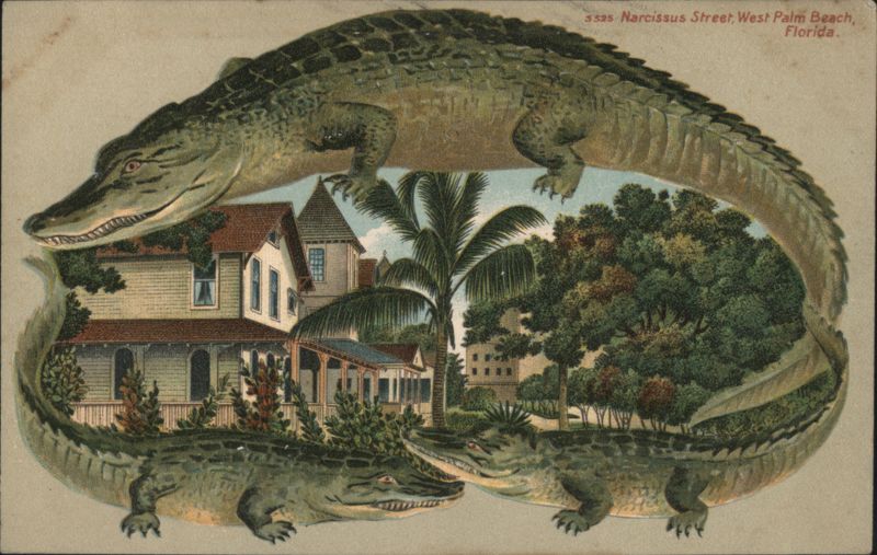 Alligator Border S525 Narcissus Street, West Palm Beach, Florida