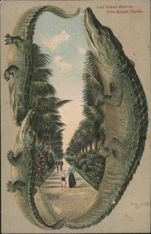 Alligator Border S519 Ocean Avenue, Palm Beach, Florida with Palm Trees
