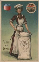 Iowa Flour Advertising with Woman and State Seals Postcard