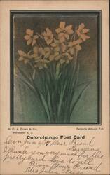 Colorchange Post Card: Bouquet of Flowers Postcard