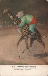Roosevelt Bears at the Circus, Teddy-G Riding a Giraffe Postcard