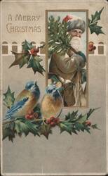 A Merry Christmas with Santa Claus, Bluebirds & Holly Postcard