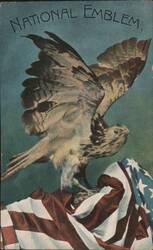 National Emblem Eagle on American Flag Postcard