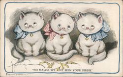 "No Ma'am, We Ain't Seen Your Birdie" Kittens with Bows Postcard