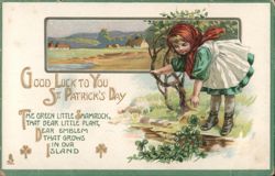 Girl Picking Shamrocks for St. Patrick's Day Postcard