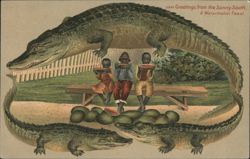 Alligator Border S644 Greetings from the Sunny South. A Watermelon Feast. Postcard
