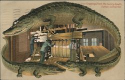 Alligator Border S653 Greetings from the Sunny South, Cotton Compress Postcard