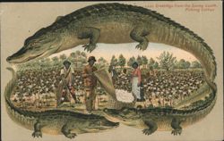 Alligator Border S632 Greetings from the Sunny South, Picking Cotton Postcard