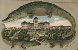 Alligator Border S589 Hotel Windsor and Hemming Park, Jacksonville, Florida Postcard