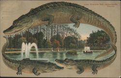 Alligator Border S586 Riverside Park Jacksonville Florida Fountain Scene Postcard