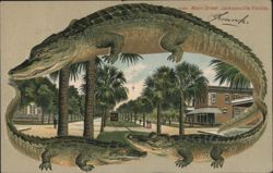 Alligator Border S584 Main Street, Jacksonville, Florida Postcard