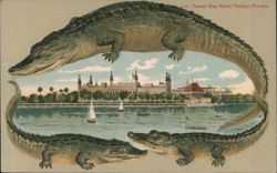 Alligator Border S571 Tampa Bay Hotel, Tampa, Florida Postcard