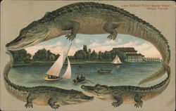 Alligator Border S569 Ballast Point Water View, Tampa, Florida Postcard