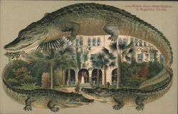 Alligator Border S559 Middle Court, Hotel Alcazar, St. Augustine, Florida Postcard