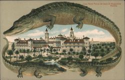 Alligator Border S558 Hotel Ponce de Leon, St. Augustine, Florida Postcard