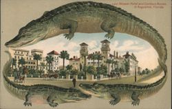 Alligator Border S557 Alcazar Hotel and Cordova Annex, St Augustine, FL Postcard