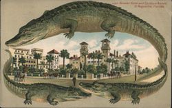 Alligator Border S557 Alcazar Hotel and Cordova Annex, St. Augustine, FL Postcard