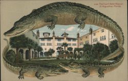 Alligator Border S556 The Court, Hotel Alcazar, St. Augustine, Florida. Postcard