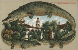 Alligator Border S553 Outer Court Colonnades, Hotel Ponce de Leon, St. Augustine, FL Postcard