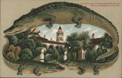 Alligator Border S553 Outer Court Colonnades, Hotel Ponce de Leon, St. Augustine, FL Postcard