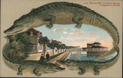 Alligator Border S552 The Sea Wall and Bath House, St. Augustine, Florida Postcard