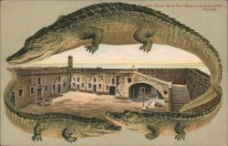 Alligator Border S551 Court Yard, Fort Marion, St. Augustine, FL Postcard