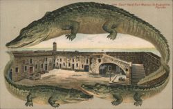 Alligator Border S551 Fort Marion Courtyard, St Augustine, FL Postcard