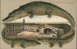 Alligator Border S551 Fort Marion Courtyard, St. Augustine, FL Postcard