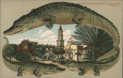 Alligator Border S547 The Cathedral and Plaza, St. Augustine, Florida Postcard
