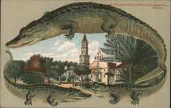 Alligator Border S547 The Cathedral and Plaza, St. Augustine, FL Postcard