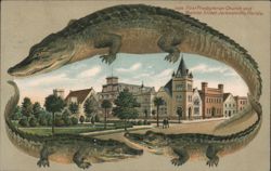 Alligator Border S606 First Presbyterian Church and Monroe Street, Jacksonville, FL Postcard