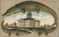 Alligator Border S503 Court House, Miami, Florida Postcard