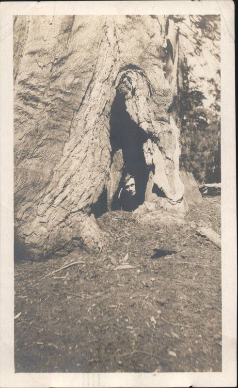 Person Peeking from Hollow Tree Trunk Unidentified People