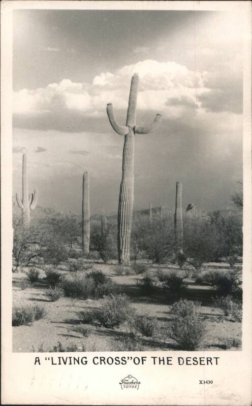 A "LIVING CROSS" OF THE DESERT, Saguaro Cacti